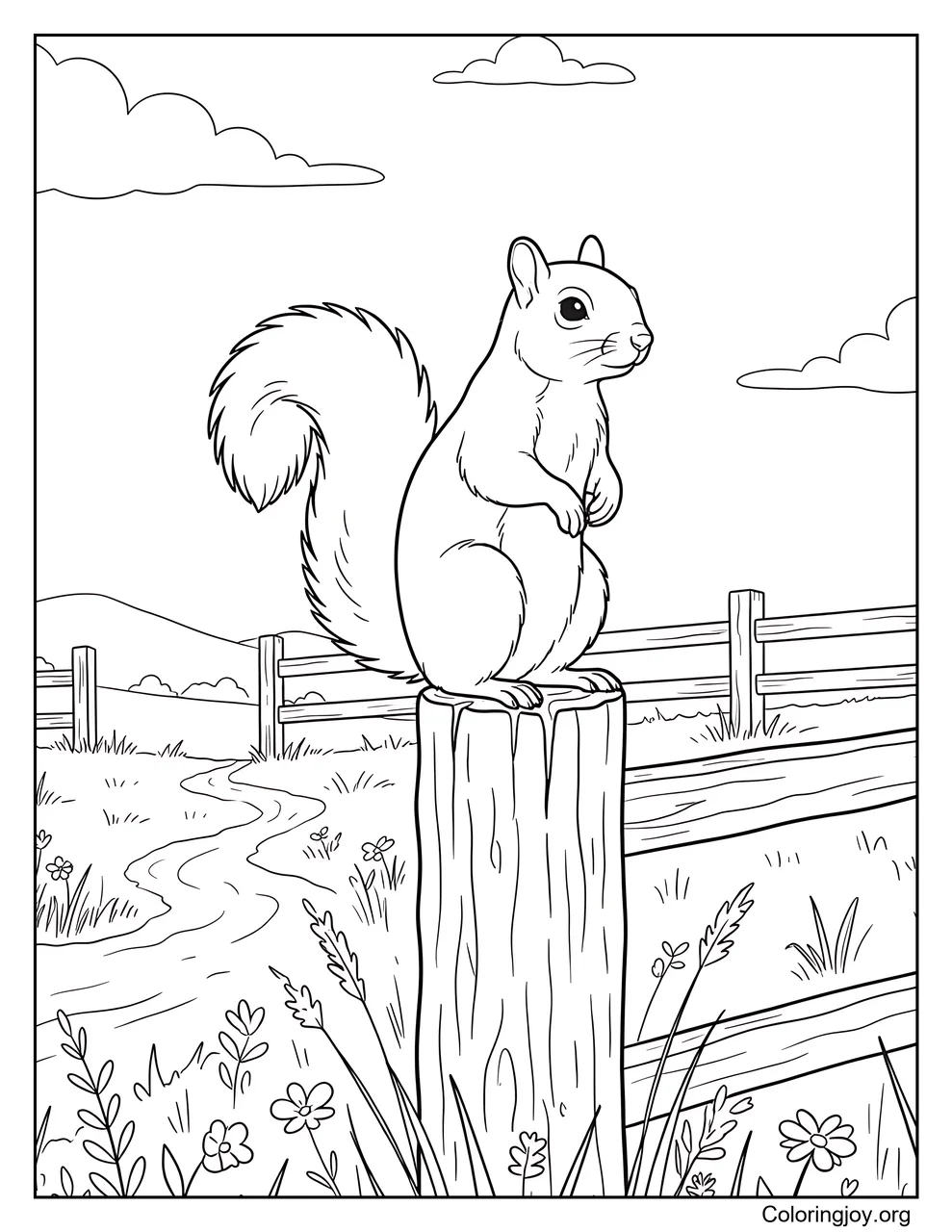 Standing on a Wooden Fence Post with a Squirrel