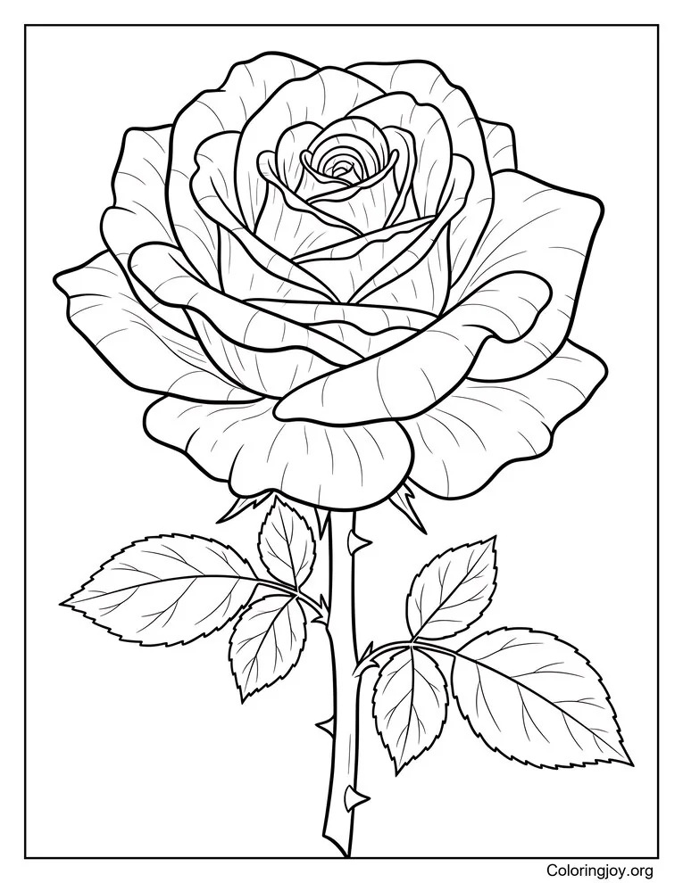 Single Rose with Detailed Petals Coloring Page