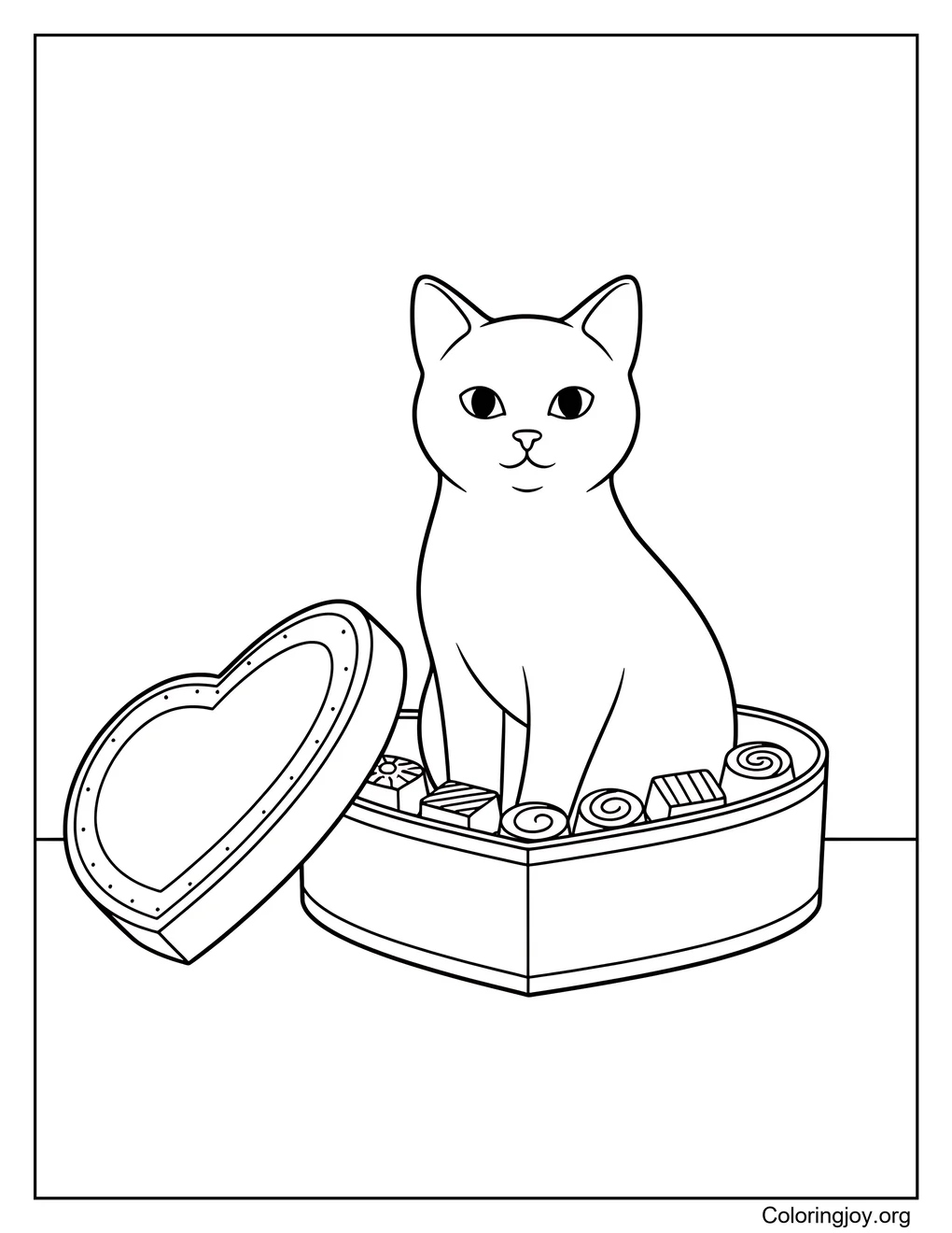 cat chocolate box