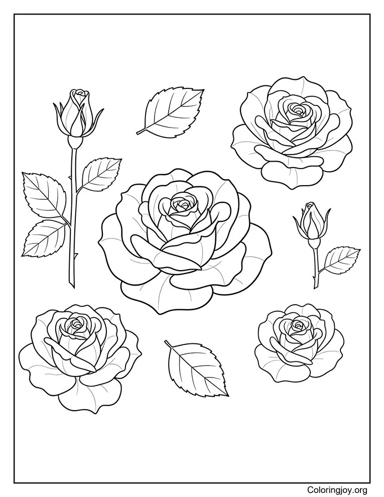 Botanical Rose Collection coloring page