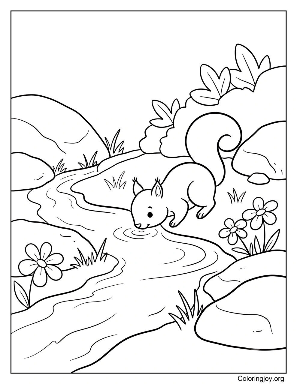 Drinking from a Forest Stream with a Squirrel