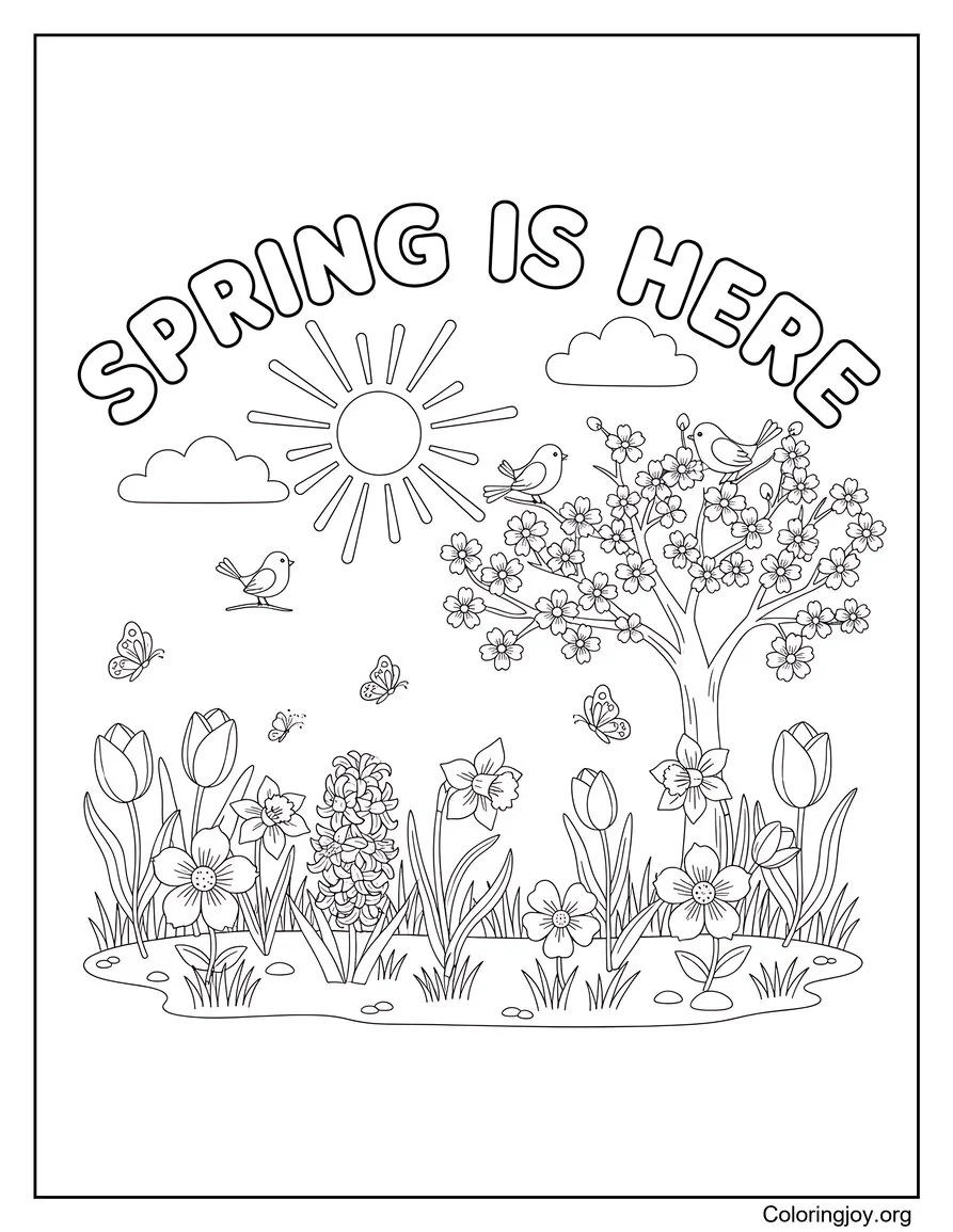 Spring Is Here