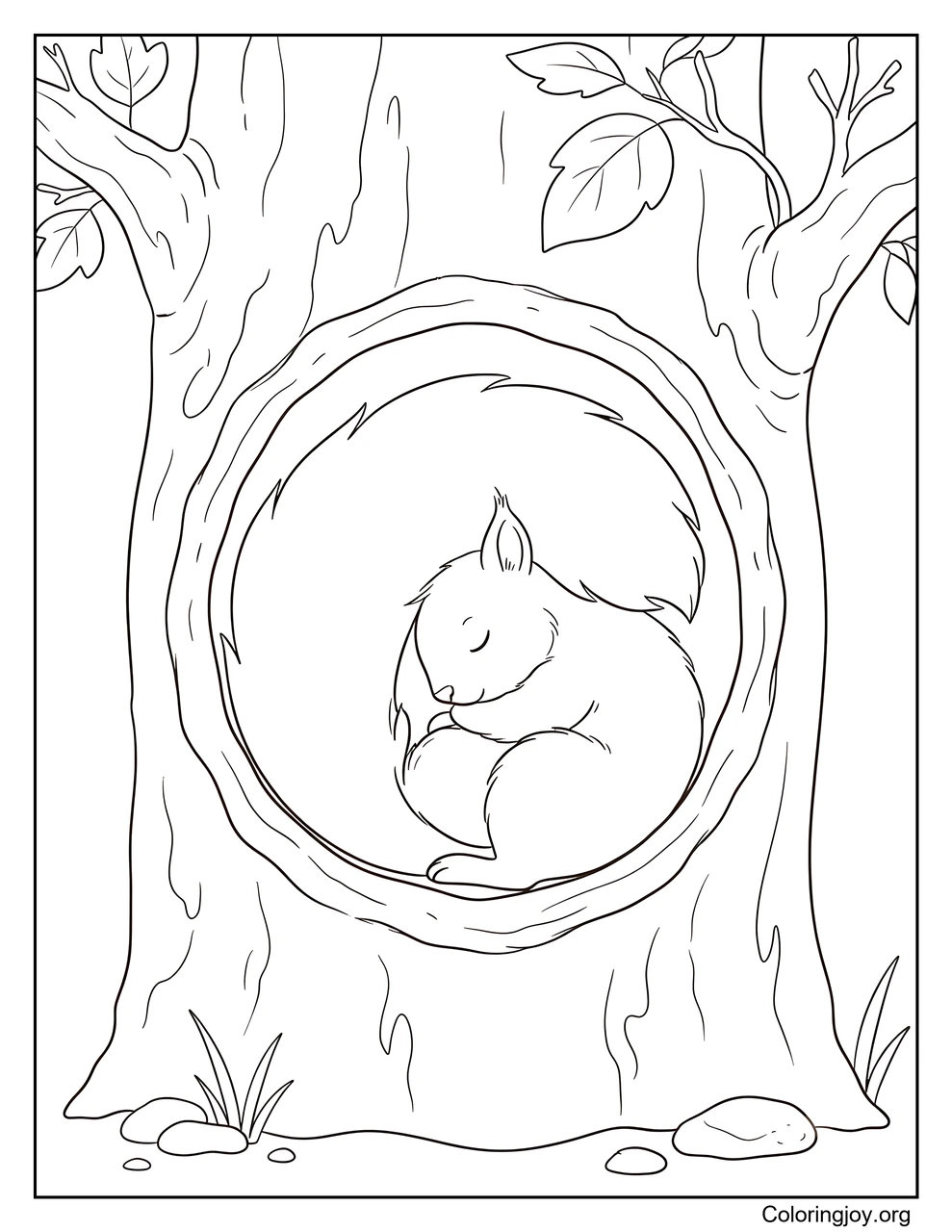 Curled Up Asleep in a Tree Hollow coloring page
