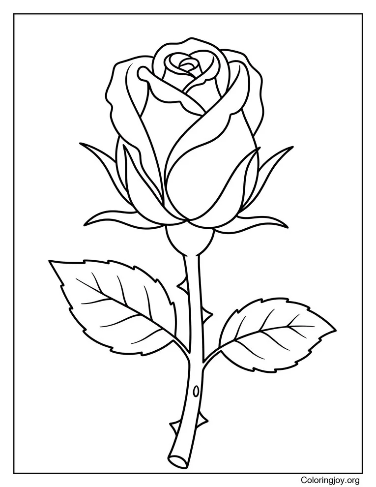 Rose Bud Coloring Page