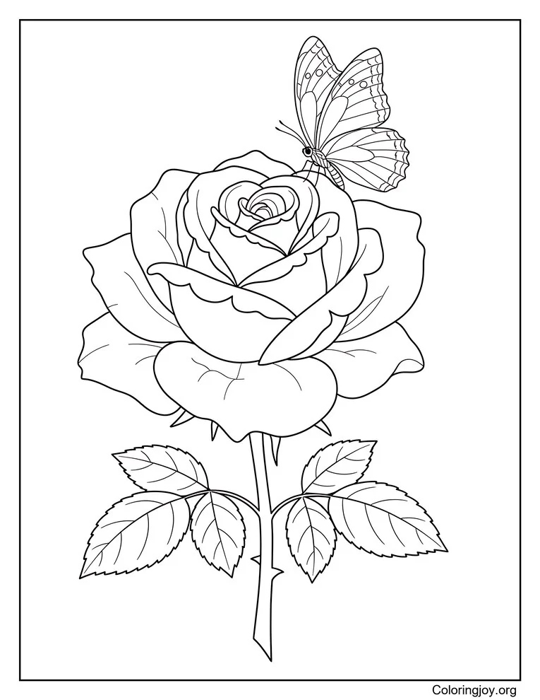 Rose and Butterfly Coloring Page