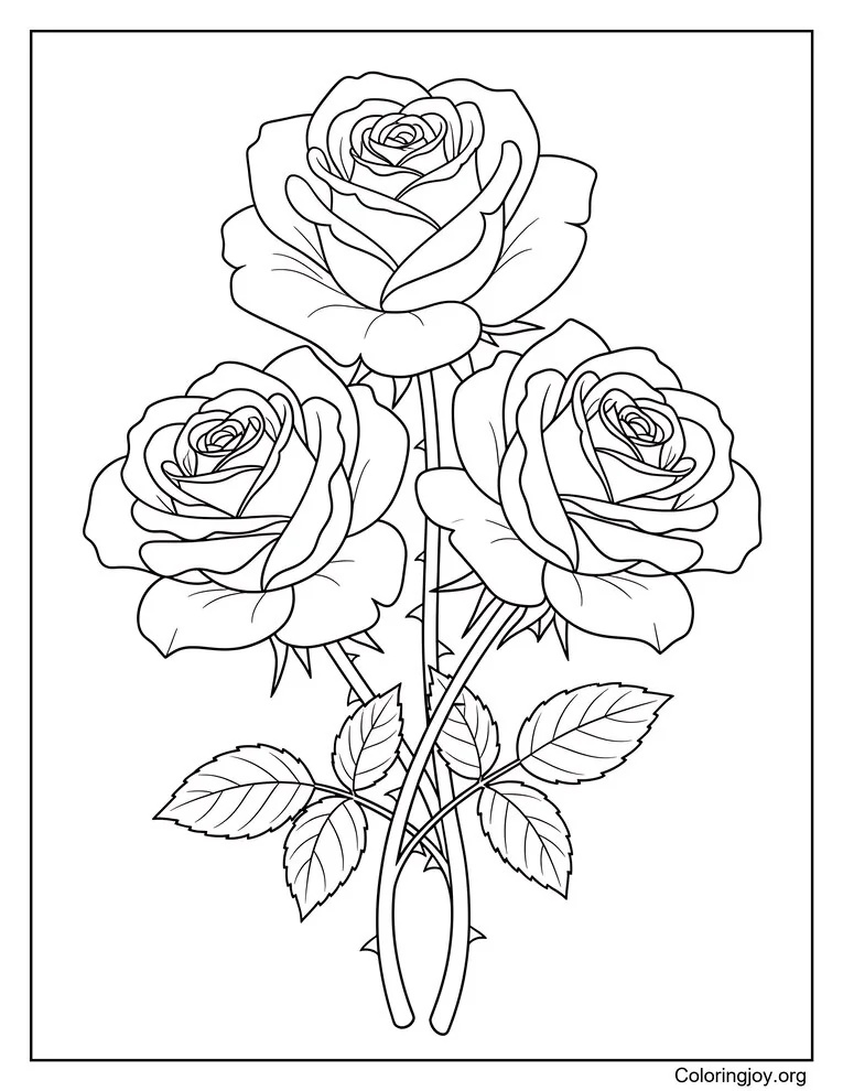 Three Roses Coloring Page