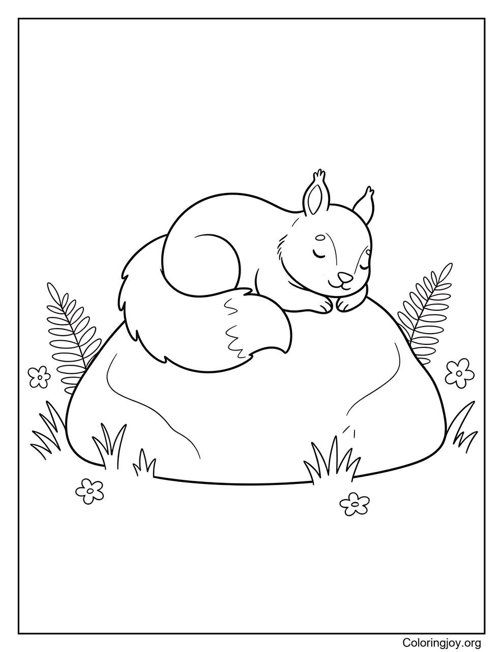 Squirrel Resting on a Smooth Rock
