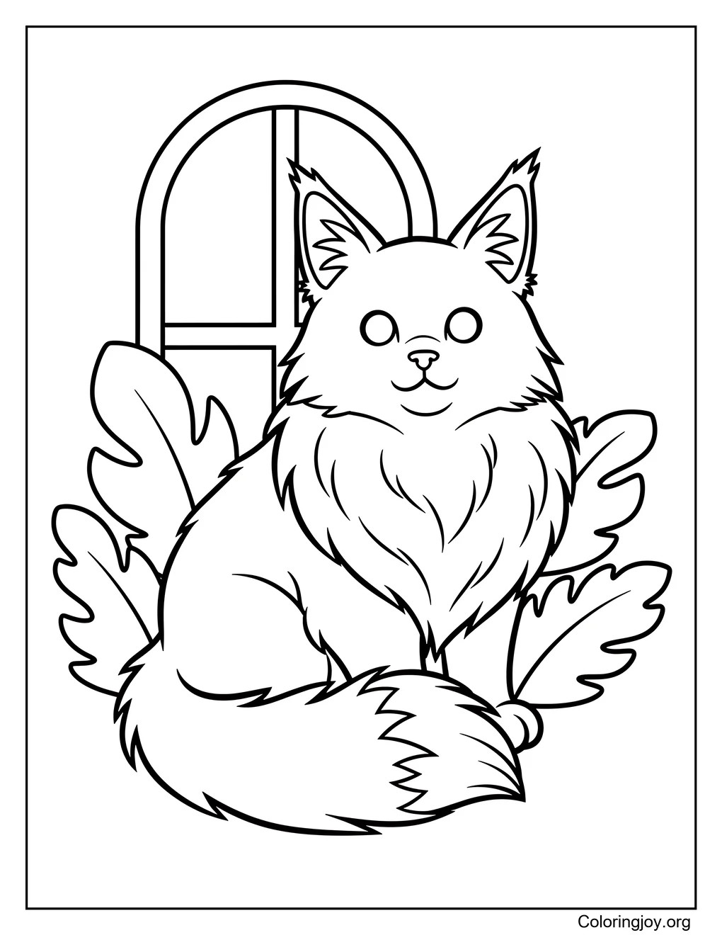 Maine Coon Cat