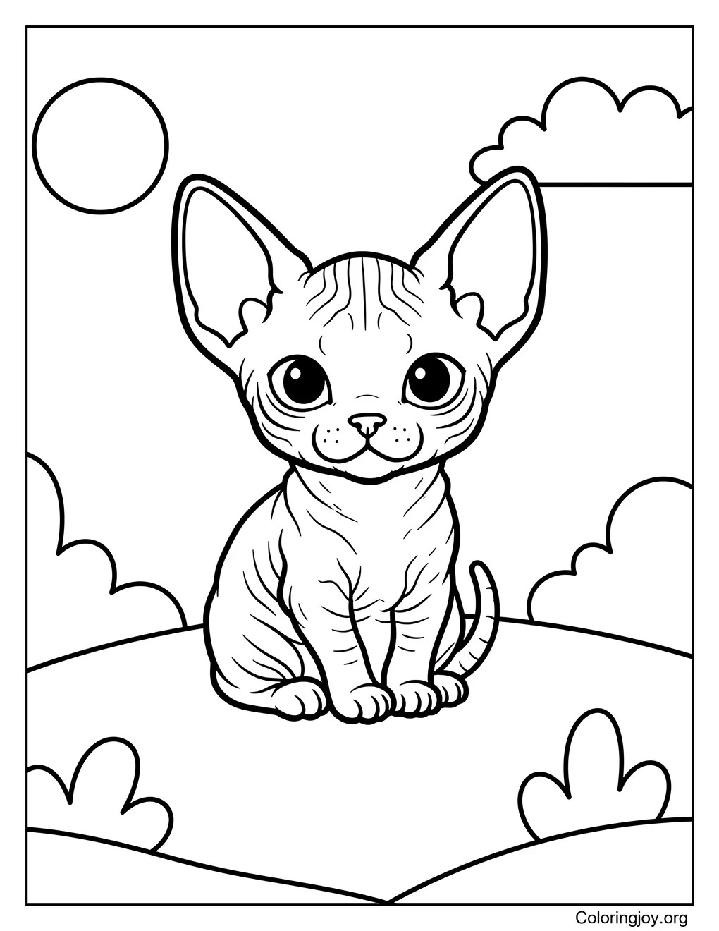 Sphynx Cat