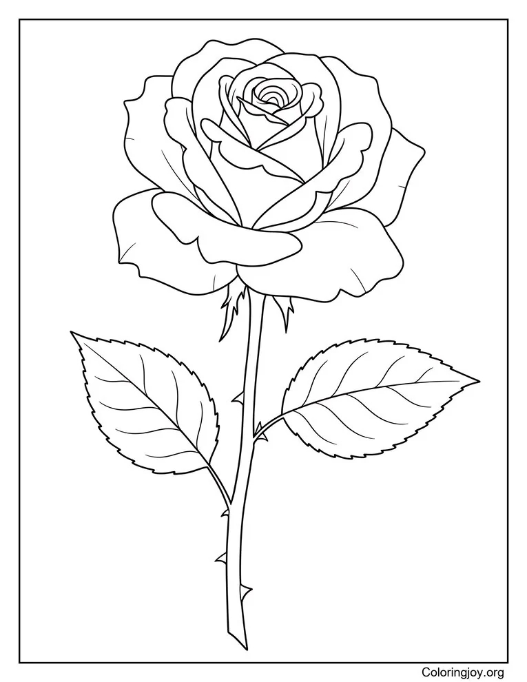 Single Rose Coloring Page