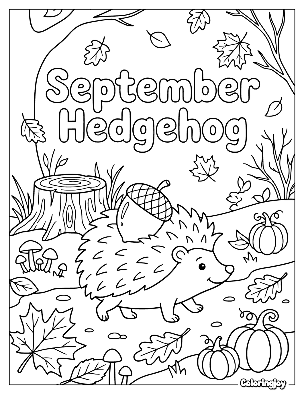 September Hedgehog and Acorns