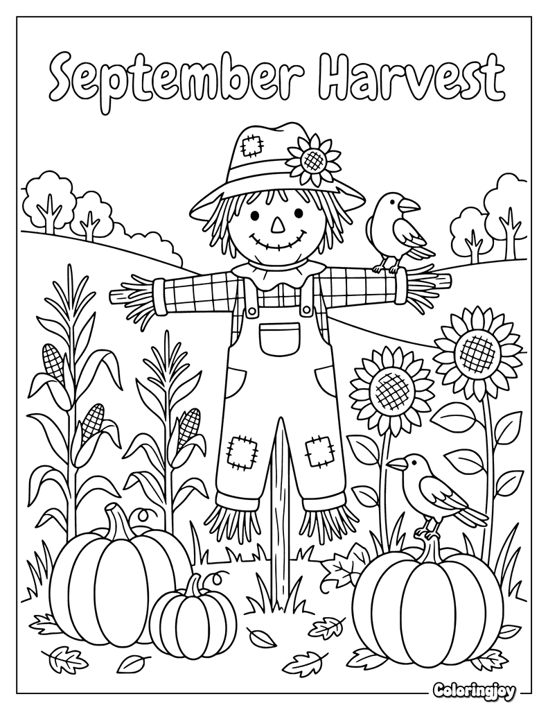 September Scarecrow and Pumpkin Field
