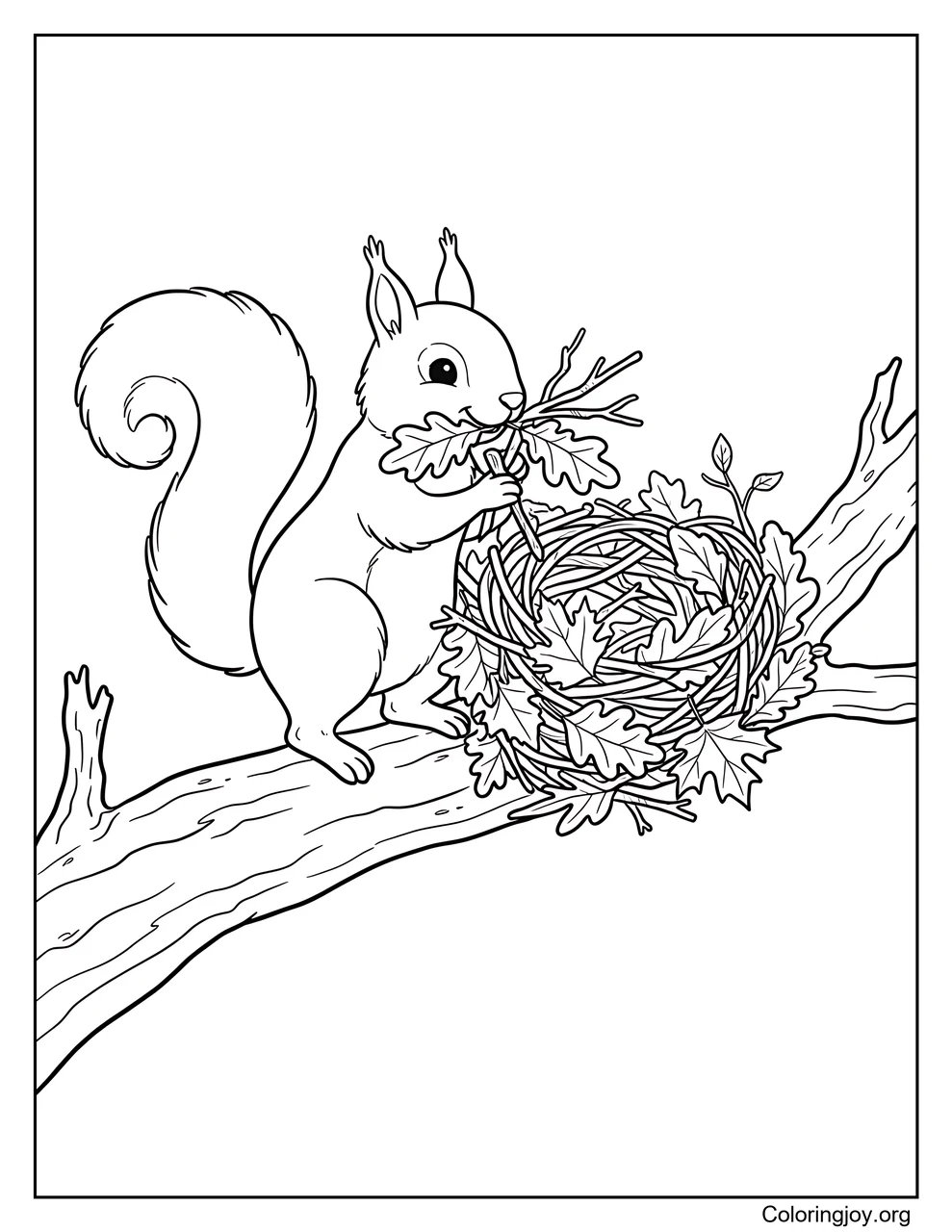 Building a Cozy Leaf Nest with a Squirrel