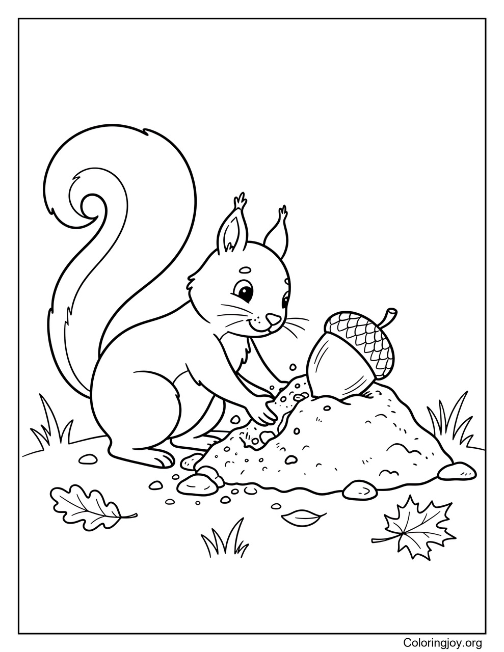Squirrel Burying an Acorn coloring page