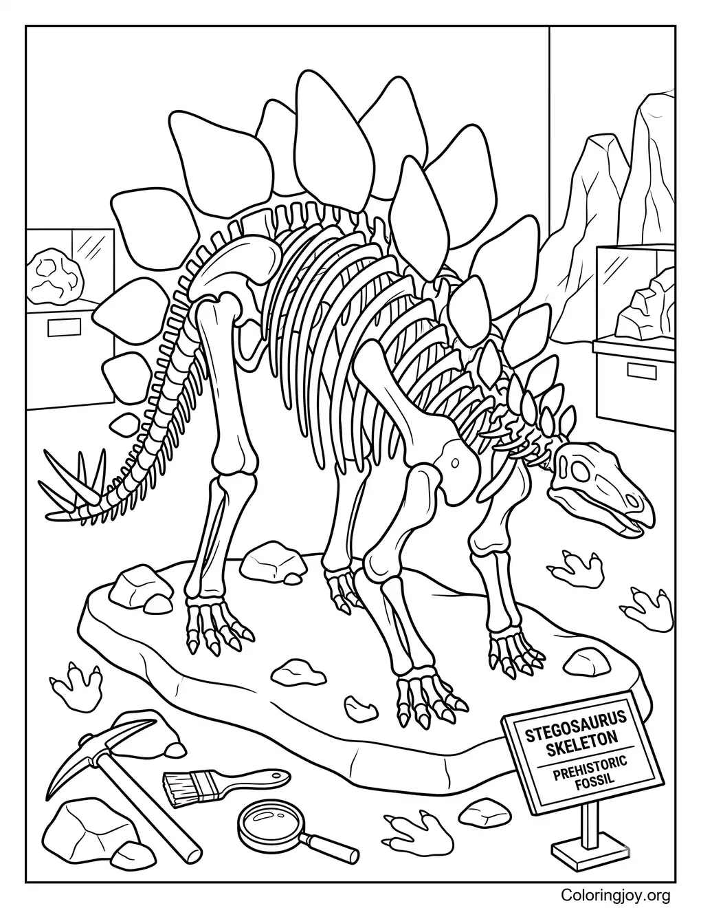 Stegosaurus Fossil Sheet