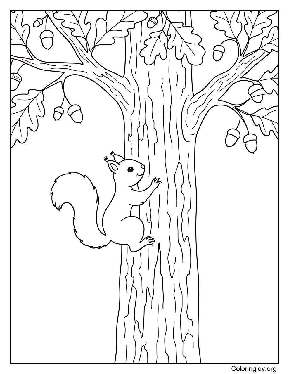 Squirrel Climbing a Tall Oak Tree