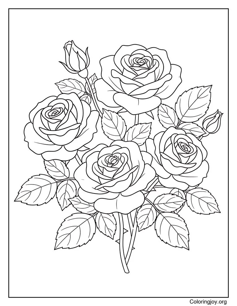 Garden Roses with Leaves Coloring Page